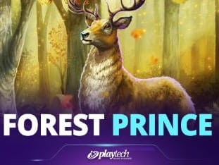 Forest Prince™ game icon